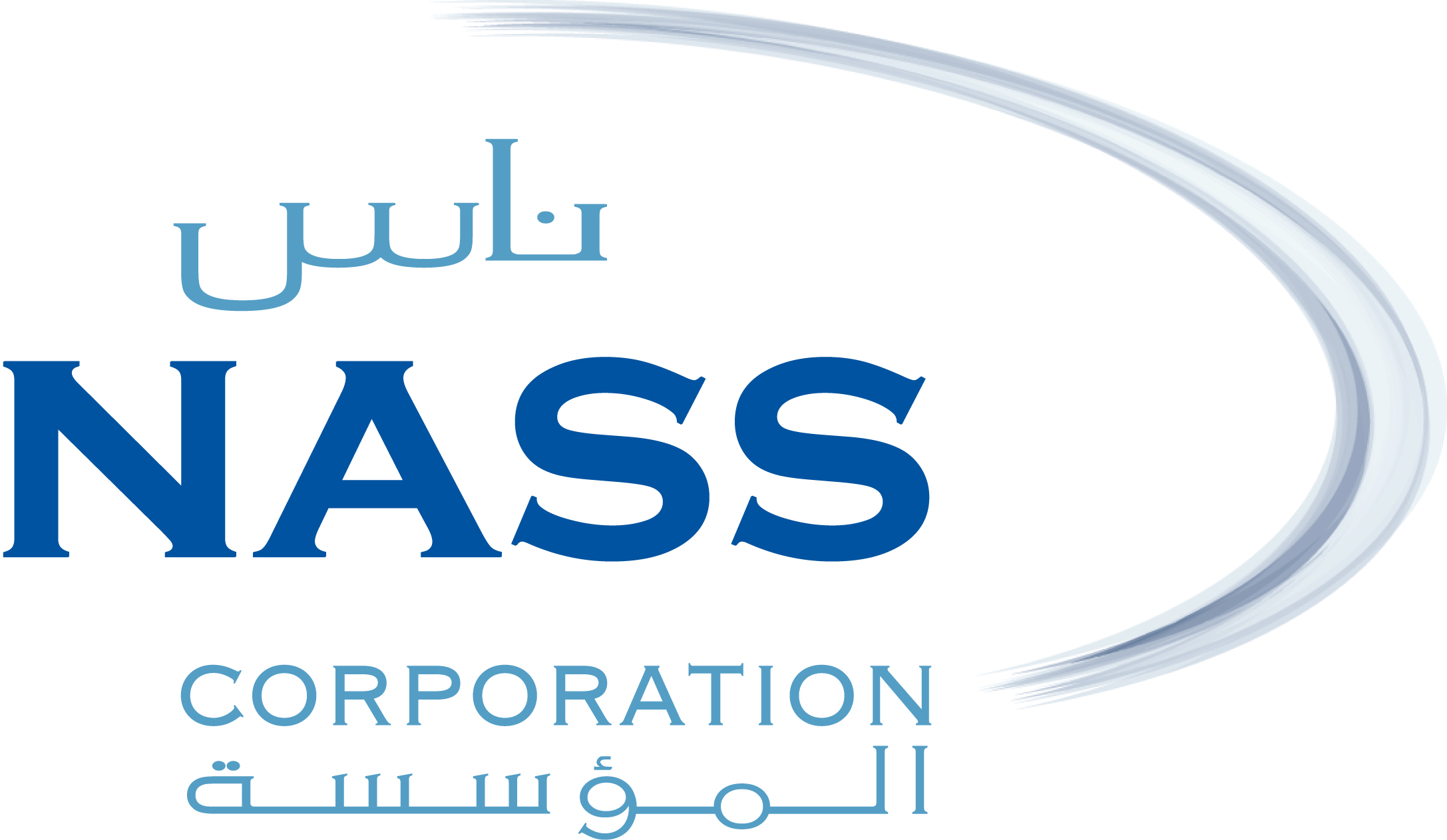 NASS Group logo